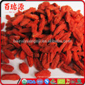 Haute exportation goji baies sèches goji baies baies de goji sur vente chaude